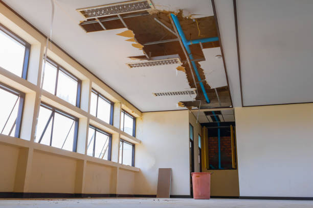 Best Flood restoration services  in Waukesha, WI