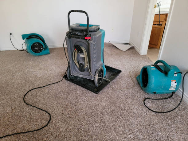 Best Flood restoration services  in Waukesha, WI