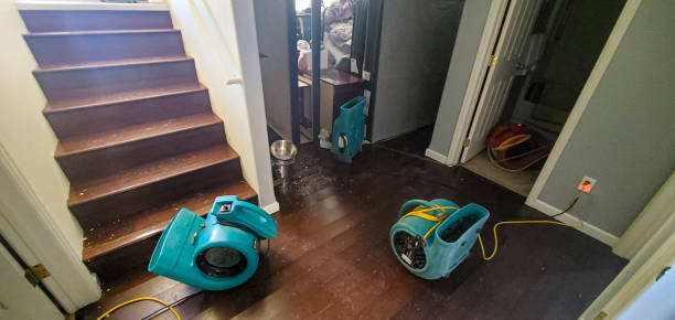 Best Water damage contractors near me  in Waukesha, WI