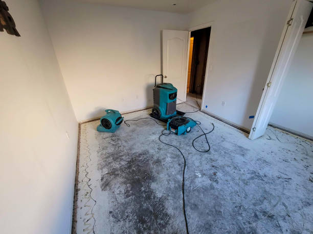 Best 24-hour water damage restoration  in Waukesha, WI