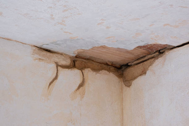 Best Water damage contractors near me  in Waukesha, WI