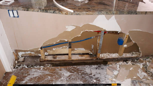 Best Carpet water damage restoration  in Waukesha, WI