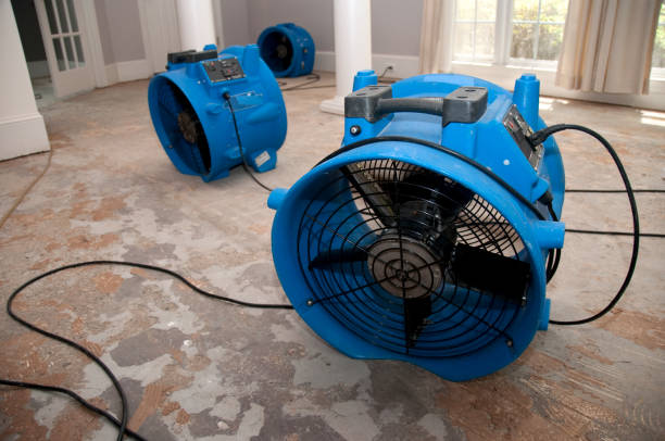 Professional Water damage restoration in Waukesha, WI