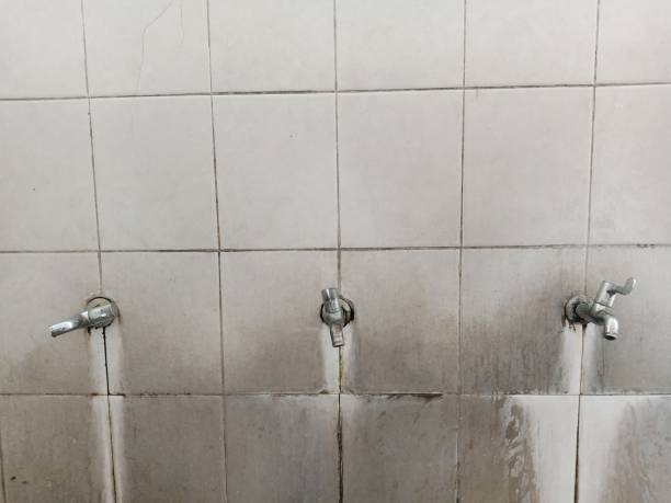 Best Residential water damage restoration  in Waukesha, WI