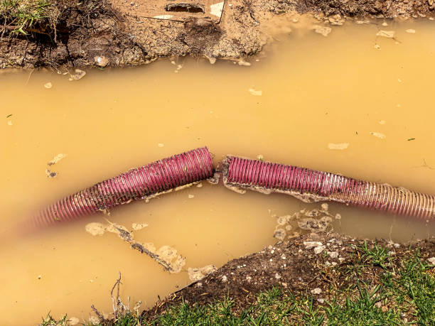 Best 24-hour water damage restoration  in Waukesha, WI